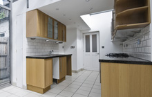 Farnham Green kitchen extension leads